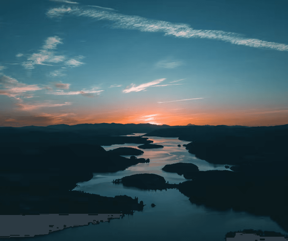 What is the SEO Impact on Your Website’s Success?